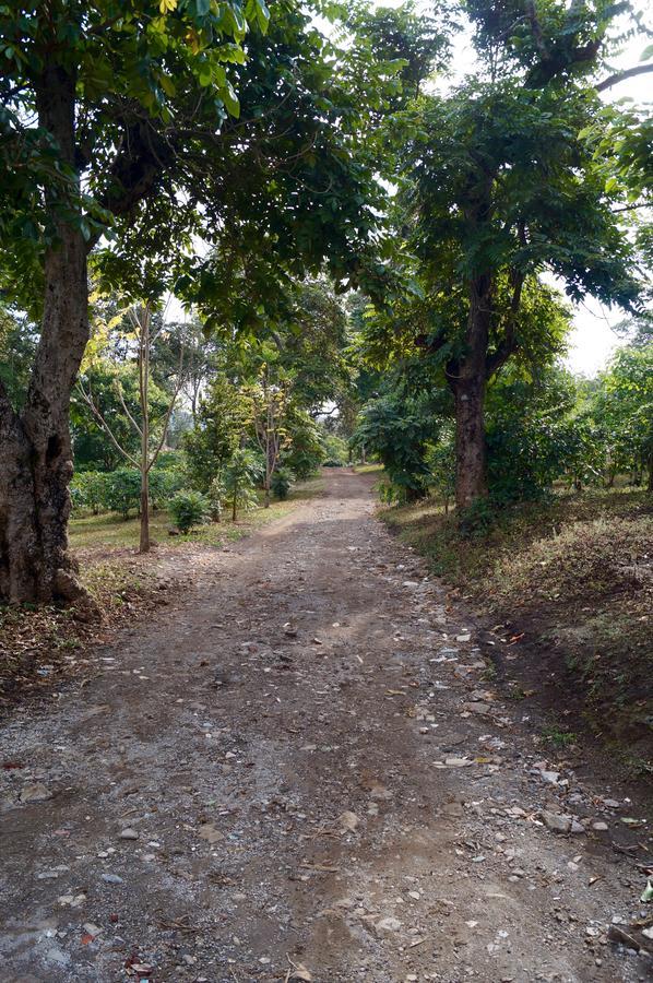 Arusha Villa Karamu Coffee Estate Usa River Dış mekan fotoğraf